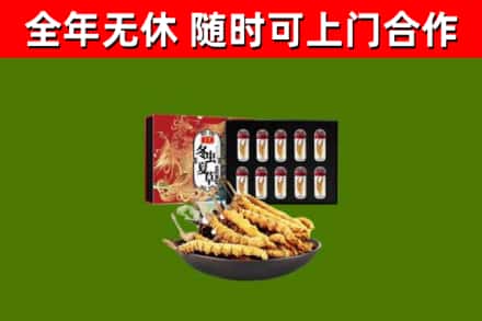 平原县烟酒回收冬虫夏草礼盒.jpg