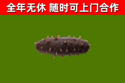 平原县烟酒回收干海参.jpg